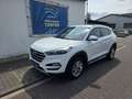 Hyundai TUCSON 1.6 AHK Navi RCam BT PDC 17"Alu Shzg 97 kW (132... Wit - thumbnail 1