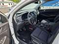 Hyundai TUCSON 1.6 AHK Navi RCam BT PDC 17"Alu Shzg 97 kW (132... Wit - thumbnail 6