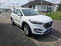 Hyundai TUCSON 1.6 AHK Navi RCam BT PDC 17"Alu Shzg 97 kW (132... Wit - thumbnail 4