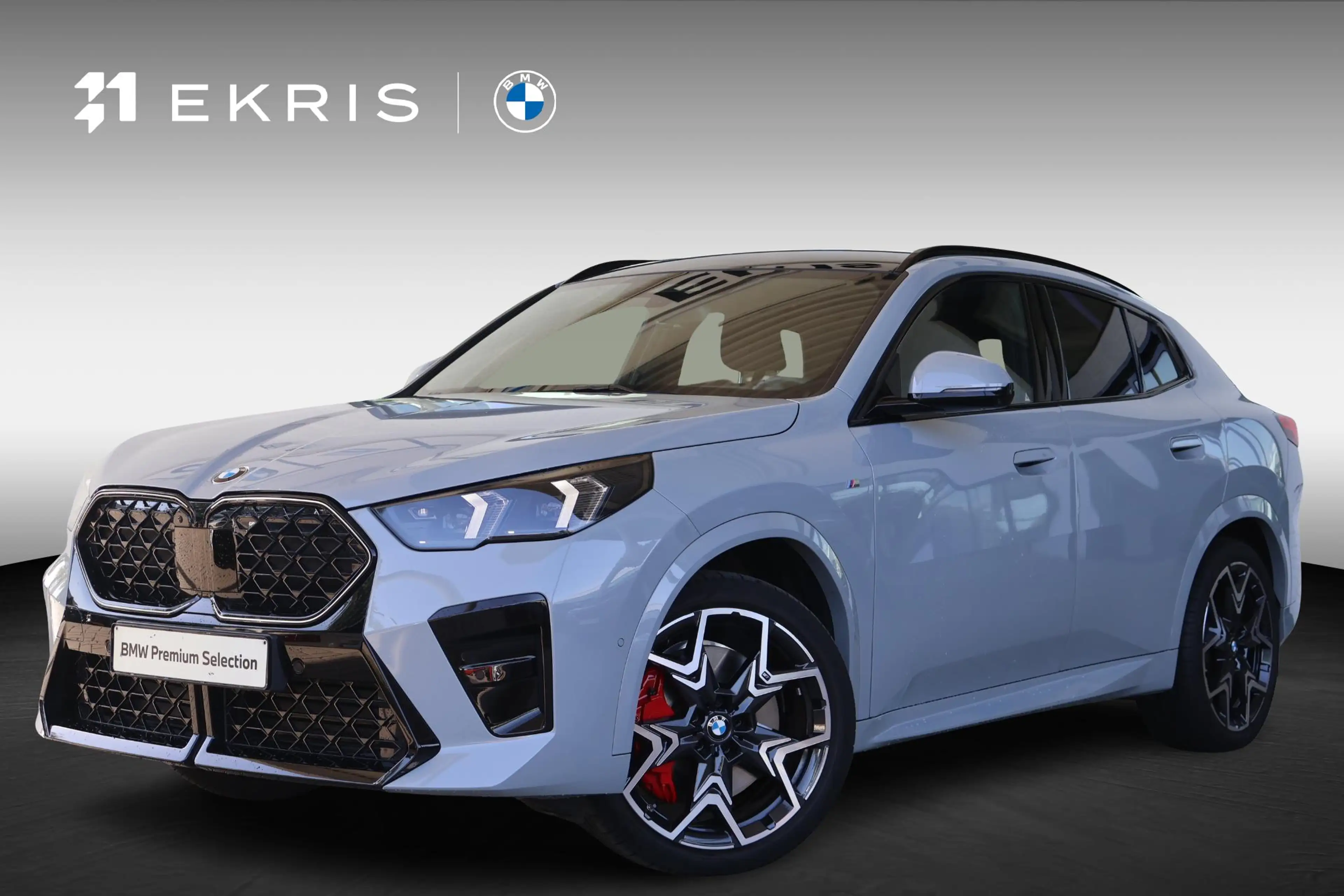 BMW X2 sDrive20i | M Sport Pro | Glazen Panoramadak | Tre