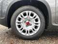 Fiat Panda 1.0 GSE Hybrid Grau - thumbnail 9