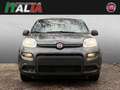 Fiat Panda 1.0 GSE Hybrid Grau - thumbnail 8