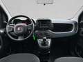 Fiat Panda 1.0 GSE Hybrid Grau - thumbnail 4