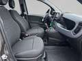 Fiat Panda 1.0 GSE Hybrid Grau - thumbnail 3
