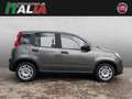 Fiat Panda 1.0 GSE Hybrid Grau - thumbnail 6