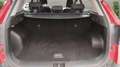 Kia Sportage Sportage V 2022 1.6 crdi mhev Business mt Rojo - thumbnail 16