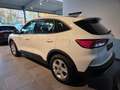Ford Kuga Kuga 2.5 Duratec FHEV COOL Wit - thumbnail 3