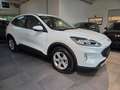Ford Kuga Kuga 2.5 Duratec FHEV COOL Wit - thumbnail 1