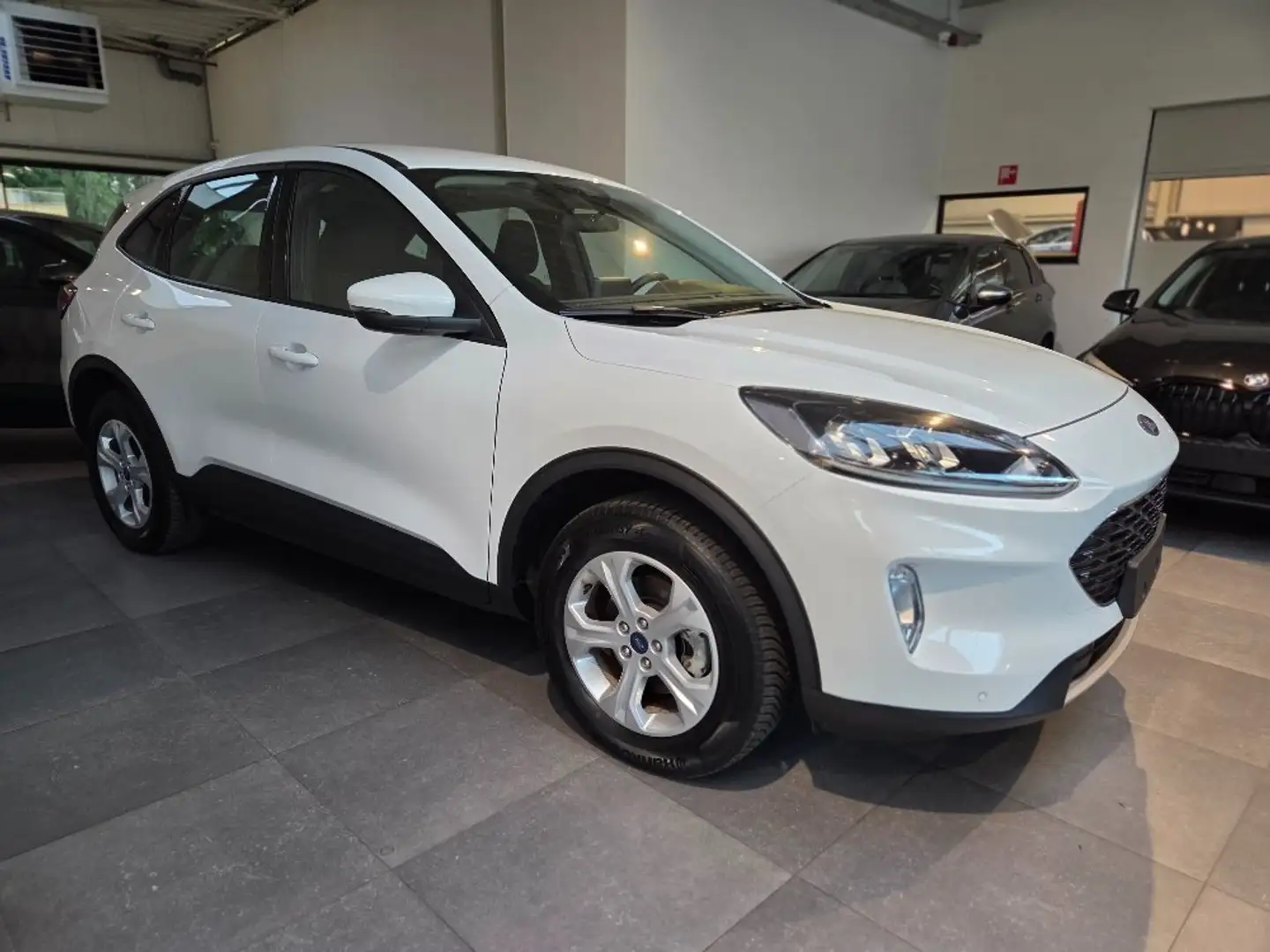 Ford Kuga Kuga 2.5 Duratec FHEV COOL Wit - 1