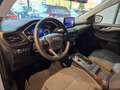 Ford Kuga Kuga 2.5 Duratec FHEV COOL Wit - thumbnail 11