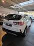 Ford Kuga Kuga 2.5 Duratec FHEV COOL Wit - thumbnail 4