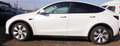 Tesla Model Y Long Range AWD Blanc - thumbnail 5