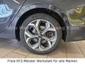 Kia Ceed SW / cee'd SW 1.4 Spirit, Navi,Cam,Automatik Grau - thumbnail 10