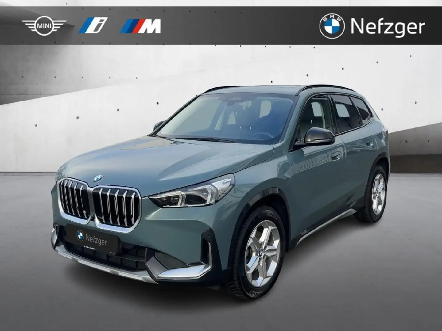 BMW X1 sDrive18i xLine RFK AHK PANO HUD LED Grün - 1