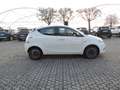 Lancia Ypsilon Ypsilon 1.0 FireFly 5 porte S&S Hybrid Platino Bianco - thumbnail 4