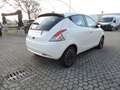 Lancia Ypsilon Ypsilon 1.0 FireFly 5 porte S&S Hybrid Platino Bianco - thumbnail 5