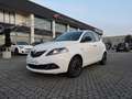 Lancia Ypsilon Ypsilon 1.0 FireFly 5 porte S&S Hybrid Platino Bianco - thumbnail 1