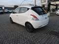 Lancia Ypsilon Ypsilon 1.0 FireFly 5 porte S&S Hybrid Platino Bianco - thumbnail 6