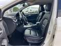 Mercedes-Benz B 250 Design-Urban+Leder+AHK+ Alb - thumbnail 15