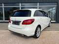 Mercedes-Benz B 250 Design-Urban+Leder+AHK+ Alb - thumbnail 7