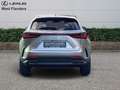 Lexus NX 450h+ Privilege Line+360°cam+nav+sen Gold - thumbnail 6