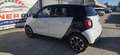 smart forFour Forfour 1.0 Passion 71cv Bianco - thumbnail 5