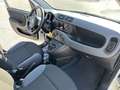 Fiat Panda 0.9 TwinAir Turbo S&S 4x4 Bianco - thumbnail 13