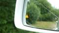 Mercedes-Benz GLE 350 d  Coupe 4Matic ///AMG/ Blanc - thumbnail 20