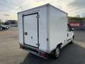 Fiat Doblo 1.3*Klima*Carrier Xarios 200* Blanco - thumbnail 6