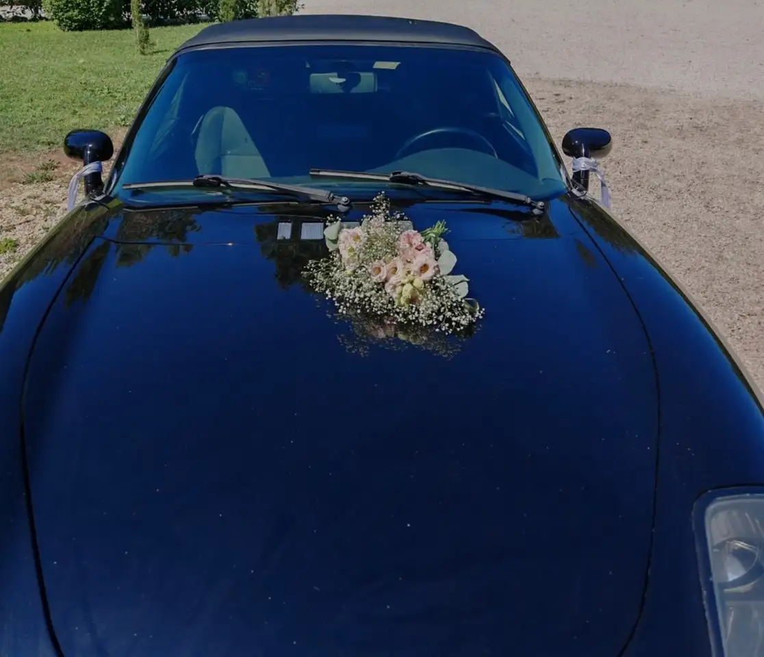 Fiat Barchetta 1.8 16v Riviera, foto 2