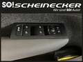 Volvo XC40 Recharge Pure Electric 82kWh Recharge Twin Plus Grau - thumbnail 17