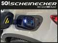 Volvo XC40 Recharge Pure Electric 82kWh Recharge Twin Plus Grau - thumbnail 10