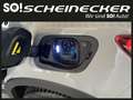 Volvo XC40 Recharge Pure Electric 82kWh Recharge Twin Plus Gris - thumbnail 10
