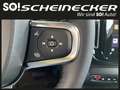 Volvo XC40 Recharge Pure Electric 82kWh Recharge Twin Plus Grau - thumbnail 26