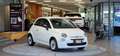 Fiat 500 FireFly Hybrid 70 *Tempomat*Bluetooth* Weiß - thumbnail 3