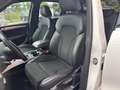 Audi Q5 2.0 TDI 190 Quattro S Line S tronic 7 - thumbnail 2