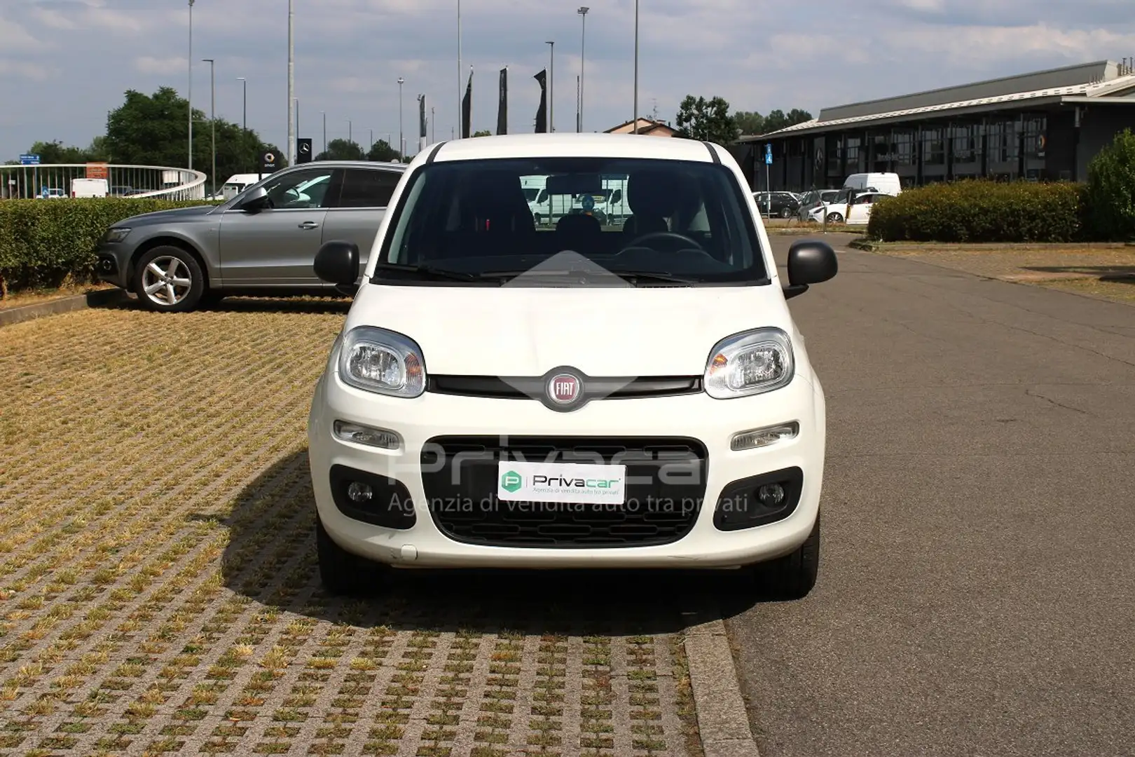 Fiat Panda Panda 1.2 Lounge Blanco - 2