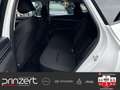 Hyundai TUCSON 1.6 T-GDI 4WD "Trend" Hybrid*PGD*Krell*LM19" Bianco - thumbnail 13