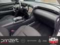 Hyundai TUCSON 1.6 T-GDI 4WD "Trend" Hybrid*PGD*Krell*LM19" Bianco - thumbnail 15