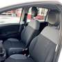 Fiat Panda 1.2 Easy PROMO FINANZIAMENTO Bianco - thumbnail 12
