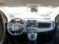 Fiat Panda 1.2 Easy PROMO FINANZIAMENTO Bianco - thumbnail 14