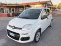 Fiat Panda 1.2 Easy PROMO FINANZIAMENTO Bianco - thumbnail 3
