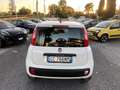 Fiat Panda 1.2 Easy PROMO FINANZIAMENTO Bianco - thumbnail 7