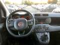 Fiat Panda 1.2 Easy PROMO FINANZIAMENTO Bianco - thumbnail 15