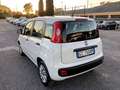Fiat Panda 1.2 Easy PROMO FINANZIAMENTO Bianco - thumbnail 4