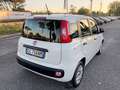 Fiat Panda 1.2 Easy PROMO FINANZIAMENTO Bianco - thumbnail 6