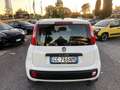 Fiat Panda 1.2 Easy PROMO FINANZIAMENTO Bianco - thumbnail 5