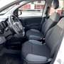 Fiat Panda 1.2 Easy PROMO FINANZIAMENTO Bianco - thumbnail 10