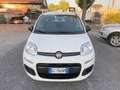 Fiat Panda 1.2 Easy PROMO FINANZIAMENTO Bianco - thumbnail 2