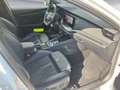 Skoda Octavia Combi 2.0 TDI DSG RS 4x4 Blanc - thumbnail 9